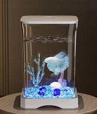 Aquarium For Bettas With