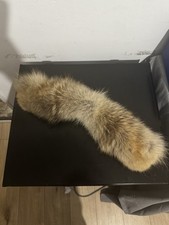 Canada Goose Coyote Fur Trim