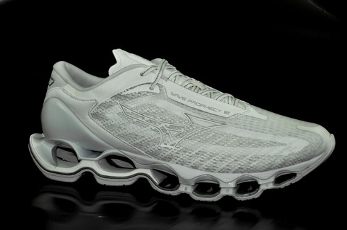 Mizuno wave prophecy - wave,