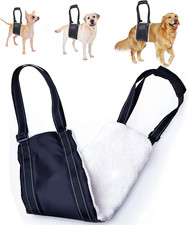 Small Dog Mobility Aids