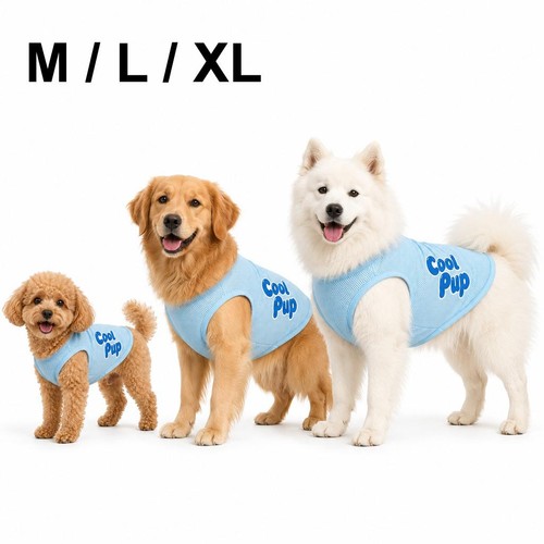 Pet dog cooling - dog,
