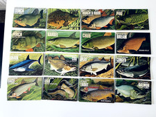 The wolfe Catchmore fishing books all Sixteen