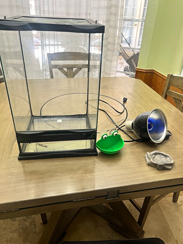Vertical terrarium bundle with - bundle,