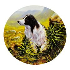 Royal Worcester Danbury Mint Border Collie Plate "Highland Scout" Dogs