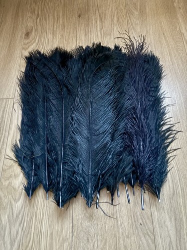 20x ostrich feathers - 20x,
