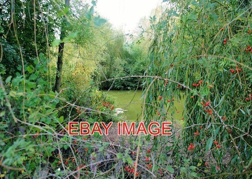 Photo fishing lakes - ,