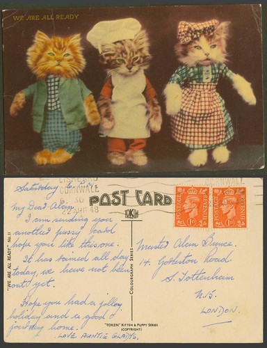 Dressed cats kittens we - cats,