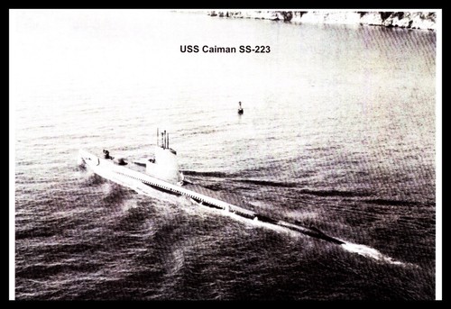 Postcard uss caiman 323 lp1 - caiman, ss-323