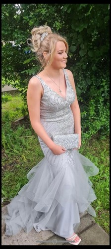 Silvery grey fish - grey, prom