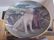 GOLDEN LABRADOR DOG PLATE -