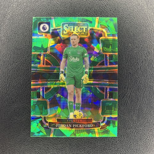 Panini premier league - premier,