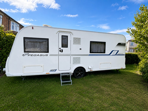 Bailey pegasus remi 2018 - bailey,