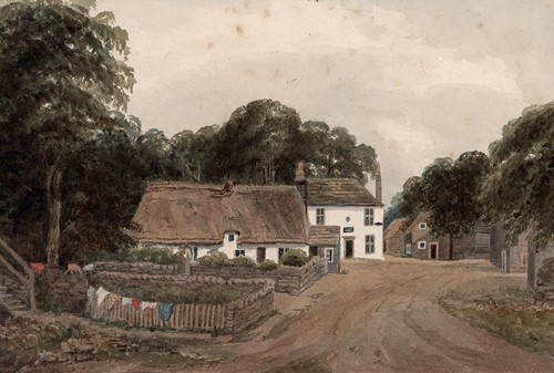 Landscape west marton - landscape,