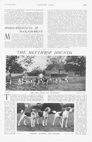 Fox hunting the heythrop - the,
