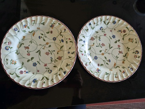 Staffordshire tableware - staffordshire,