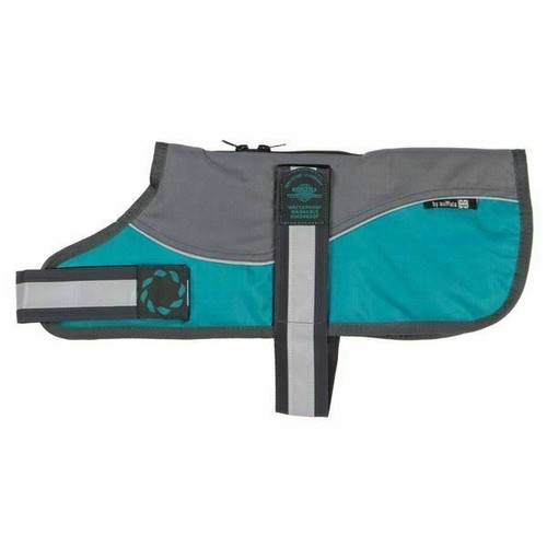 Waterproof dog coat - dog,