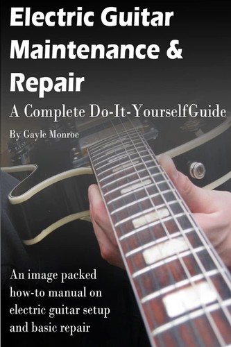 Electric guitar maintenance - guitar,