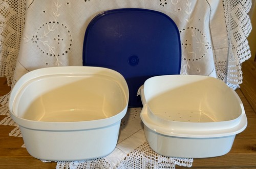 Tupperware multi server - server, rice