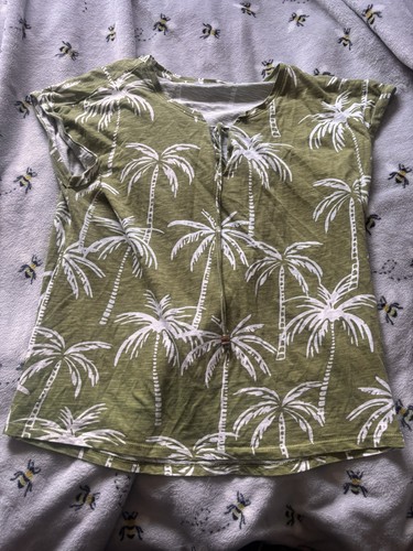 Encuentro green palm tree