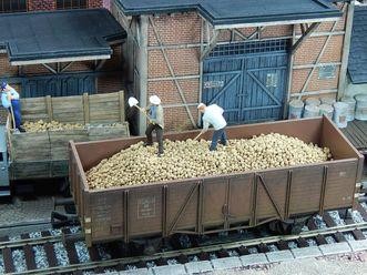 Juweela scale potatoes - 1:45,