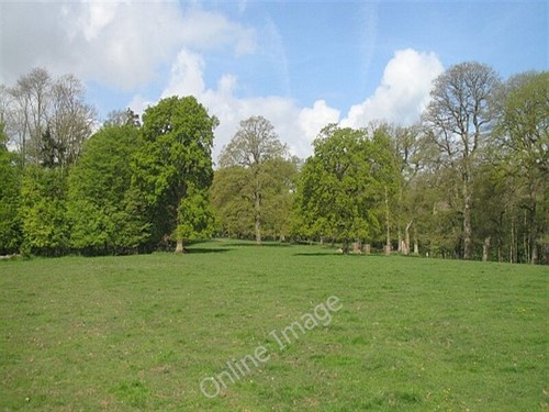 Photo 6x4 parkland - parkland,, croft