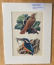 CHARLES TUNNICLIFFE -