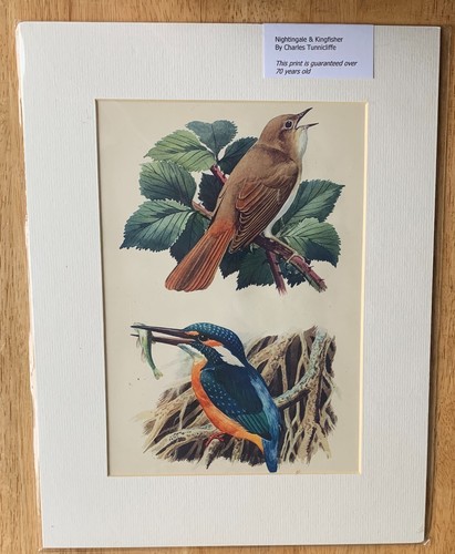 Charles tunnicliffe - charles,