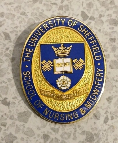 University sheffield school - sheffield,