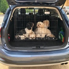 Ford focus estate sloping - focus, dog