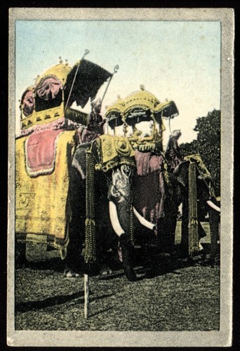 Tobacco card cavanders - card,,