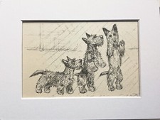 Scottish terrier puppy dog vintage sketch print by KF Barker 1930s/40s - mounted