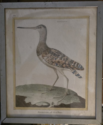 Bird print francois - bird, by