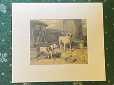 ORIG. VERY RARE ANTIQUE  LARGE BULLDOG DOG PEN & INK PAINTING 1890 CRIB & ROSA