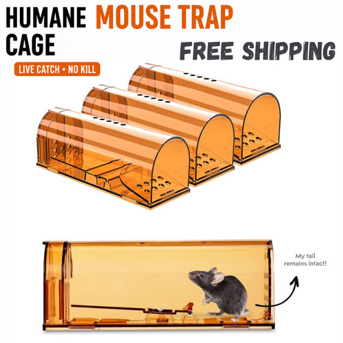 Humane mouse trap cage - humane,