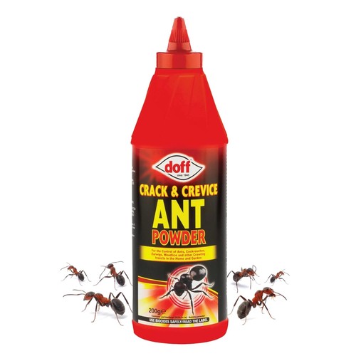 Doff crack crevice ant - &,
