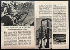 “What’s Wrong with the