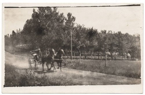Horse drawn vehicle postcard - horse-drawn,