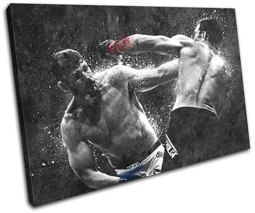 Michael bisping ufc mma - ufc,