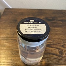 Wet Specimen Nematoda