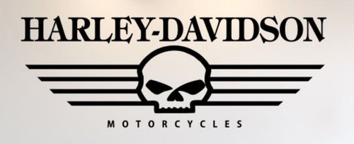 Skull harley davidson vinyl - skull,