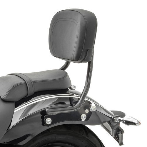 Sissy bar for bmw - bar,