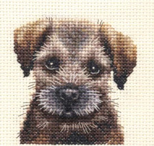BORDER TERRIER PUPPY Dog Full