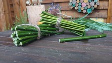 Fresh green willow chew sticks