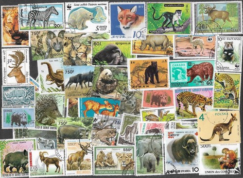 Wild animals 500 all different - 500,
