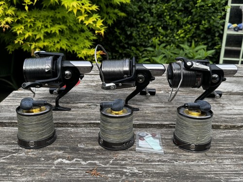 Daiwa tournament basia - daiwa,