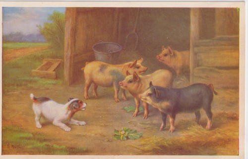 Postcard edgar hunt - -,