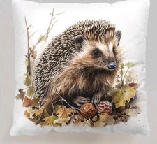1 X Beautiful Hedgehog Cushion