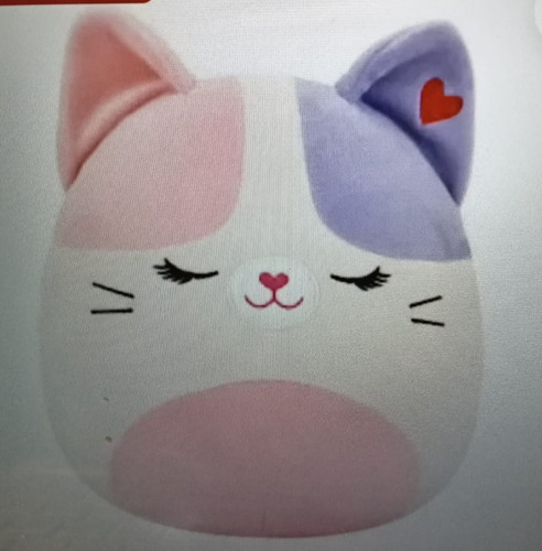 Valentine squad squishmallows - valentine,