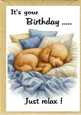 Poodle Apricot Dog Birthday