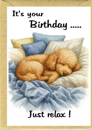 Poodle apricot dog birthday - poodle,
